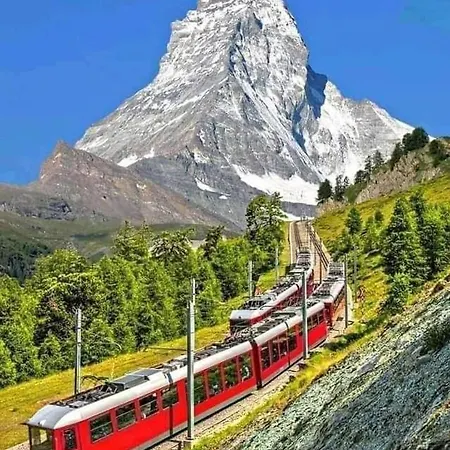 Lion Bb Swiss * Zurich