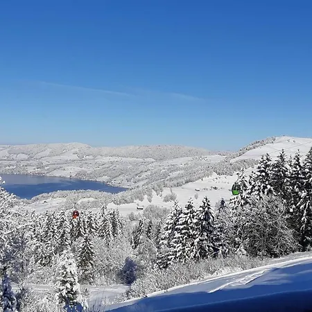 Lion Bb Swiss Accommodatie bij particulieren