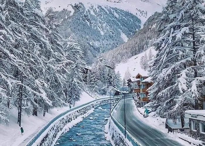 Lion Bb Swiss בית אירוח *