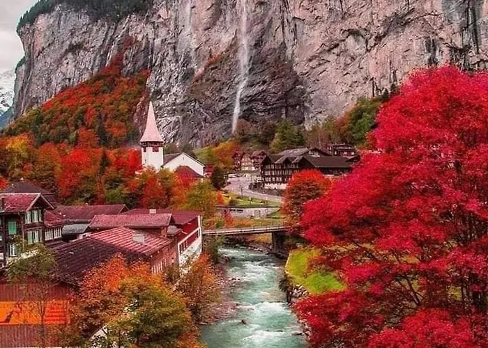 Lion Bb Swiss * ציריך