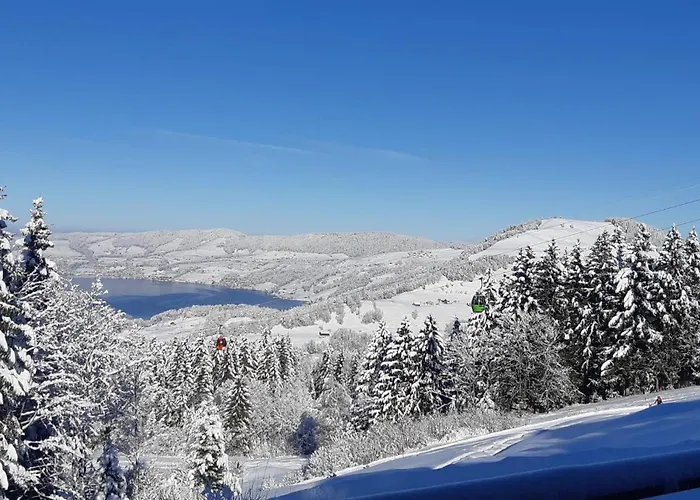 Lion Bb Swiss 民宿