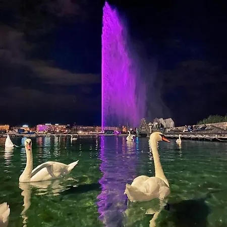 Homestay szállás Lion Bb Swiss *