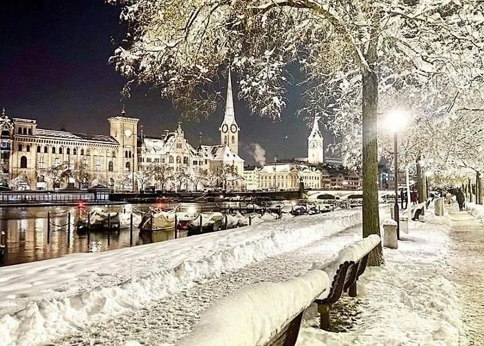 Проживання в сім'ї Lion Bb Swiss *