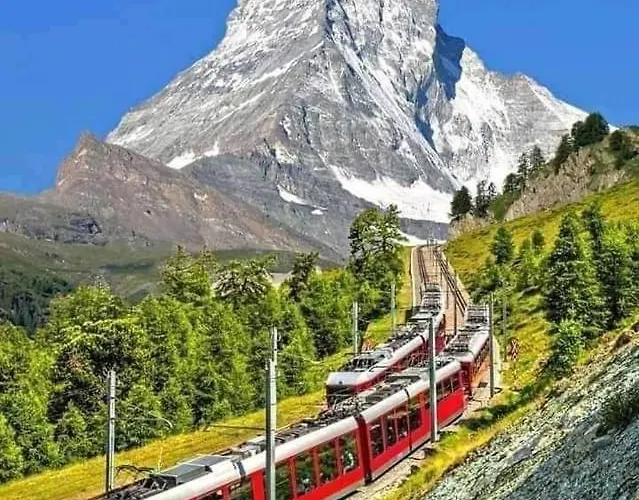 Lion Bb Swiss * Цюрих