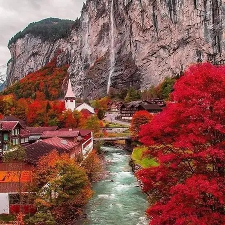 Lion Bb Swiss * Zurique