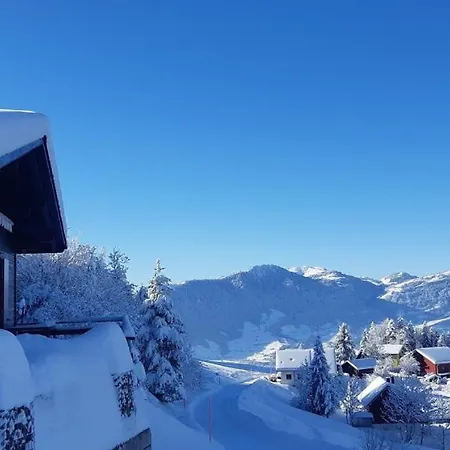 Lion Bb Swiss * Zurique