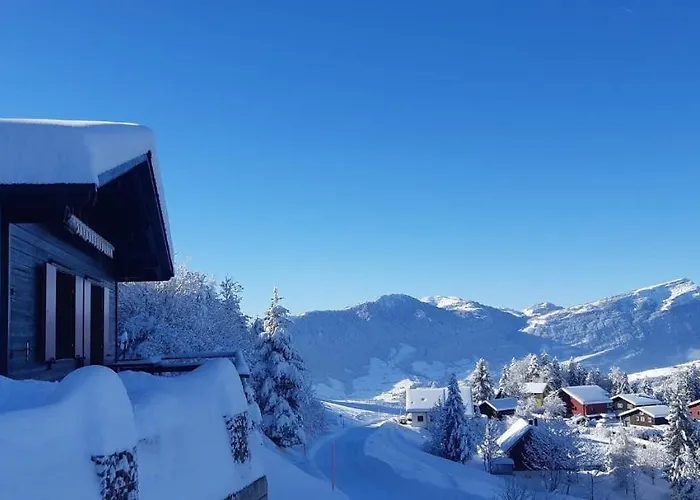 Lion Bb Swiss * Ζυρίχη